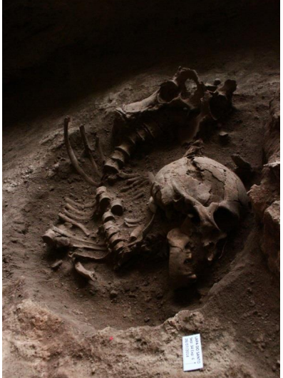 9,500-year-old funerary rituals involving the reduction of fresh corpses discovered in east central Brazil
