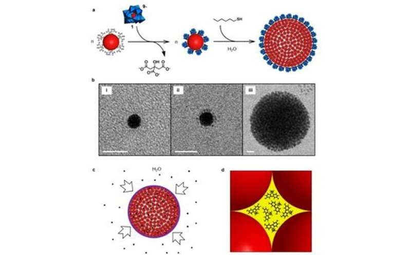 Water soluble gold nanoparticle supraspheres can hold 2 million guest molecules