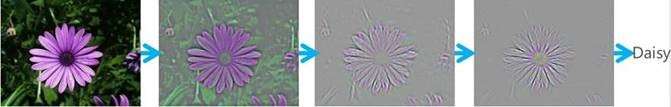 Machine learning researchers team up with Chinese botanists on flower-recognition project