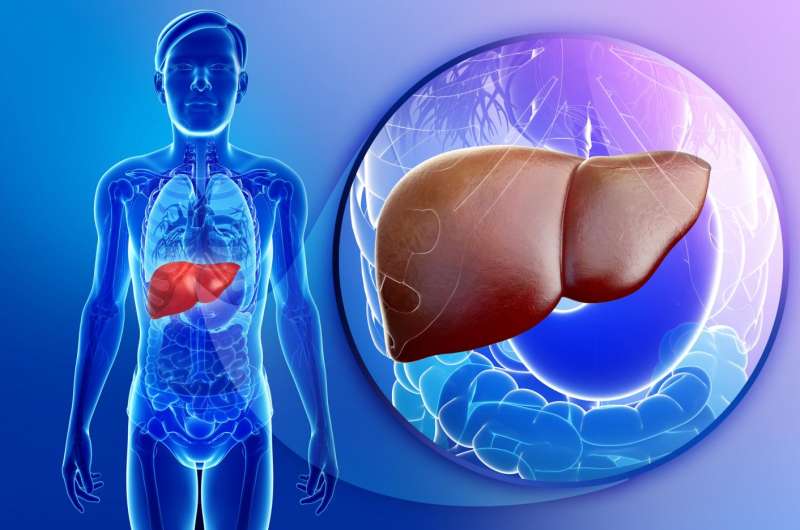 New approach to liver transplantation: Using a damaged liver to replace a dying liver