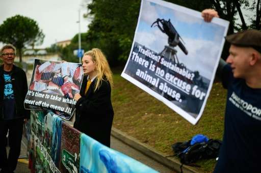 Protesters demonstrate during the 66th International Whaling Commission (IWC) meeting in Portoroz, Slovenia, on October 24, 2016