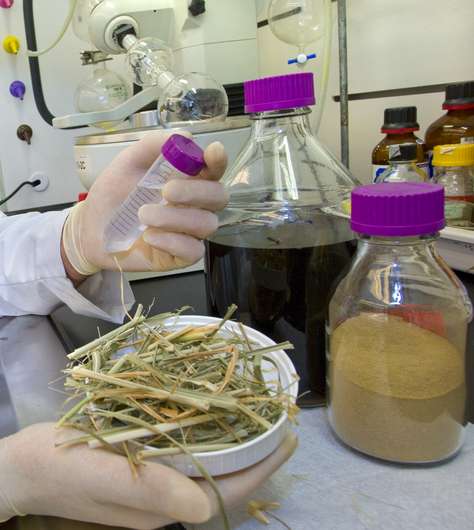 Researchers develop first high-gravity, one-pot process for producing cellulosic ethanol