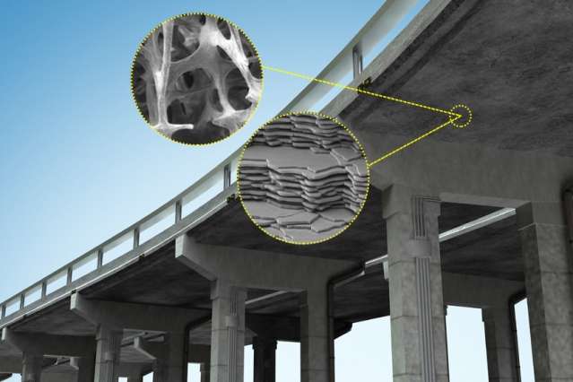 Researchers look to bones and shells as blueprints for stronger, more durable concrete