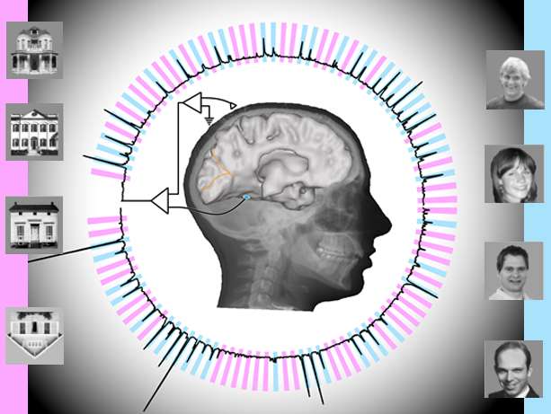 Scientists decode brain signals nearly at speed of perception