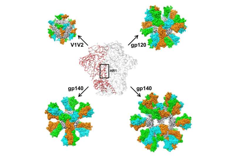 TSRI scientists stabilize HIV structure, design potential AIDS vaccine candidates