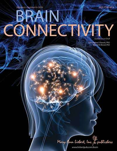 研究人员识别与认知功能丢失相关的脑结构网络组