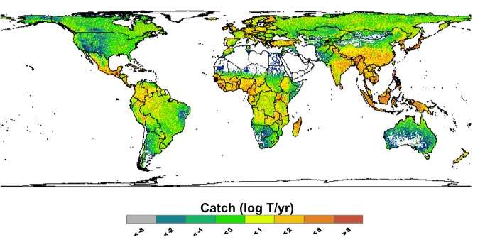 Report reveals a big dependence on freshwater fish for global food security