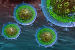 Researchers uncover new piece of the HIV puzzle