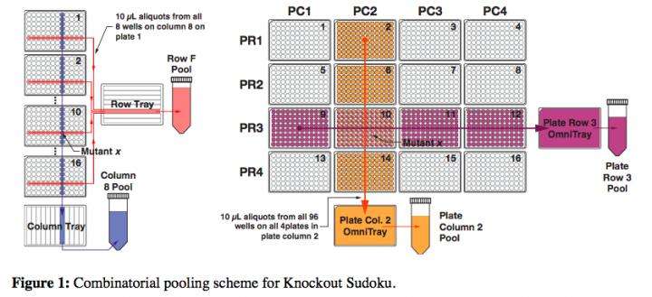 Researchers' Sudoku strategy democratizes powerful tool for genetics research