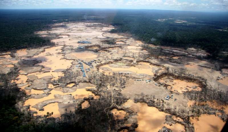 Conservation alliance to focus on Peruvian Amazon deforestation