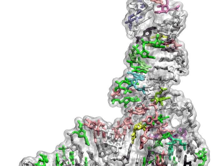 Discovery of a fundamental limit to the evolution of the genetic code