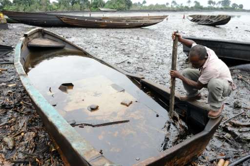 Environmental devastation to farming and fishing in the Niger Delta has for many come to symbolise the tragedy of Nigeria's vast
