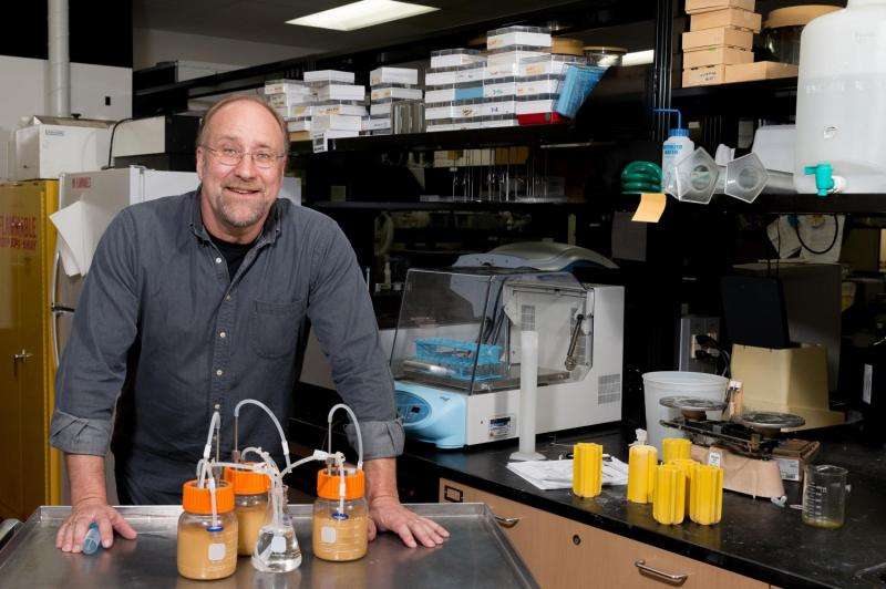 Food scientist aiding fuel ethanol with new engineered bacteria