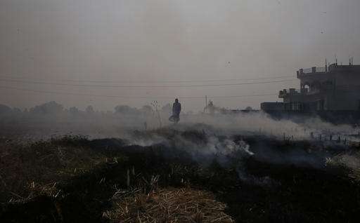 India's capital grapples with toxic winter air pollution