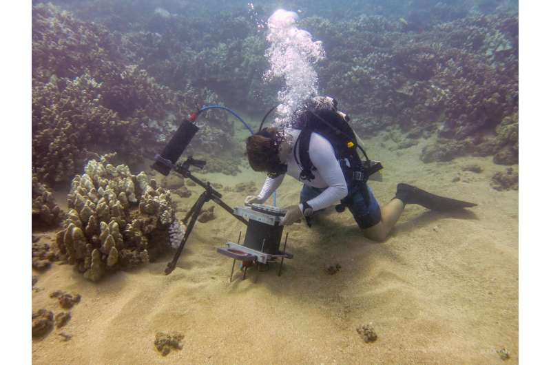 Researchers develop novel microscope to study the underwater world