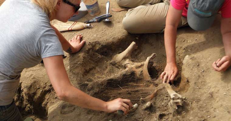 Researchers find evidence of original 1620 Plymouth settlement