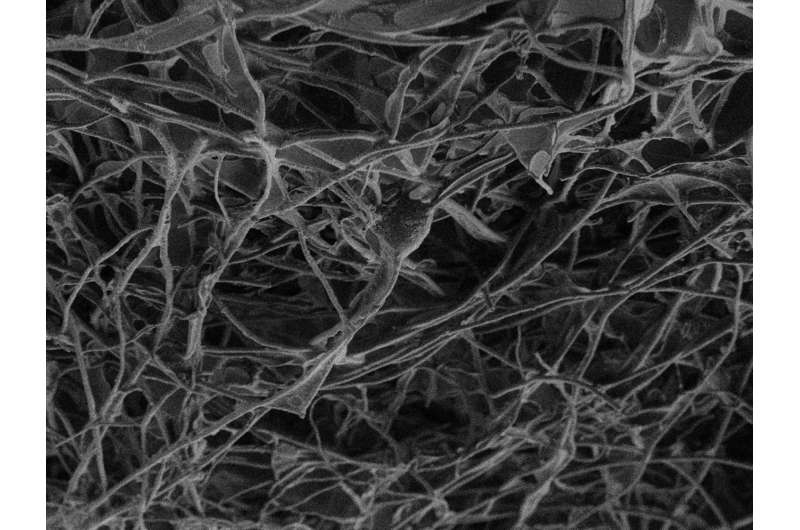 A 'bridge' of carbon between nerve tissues