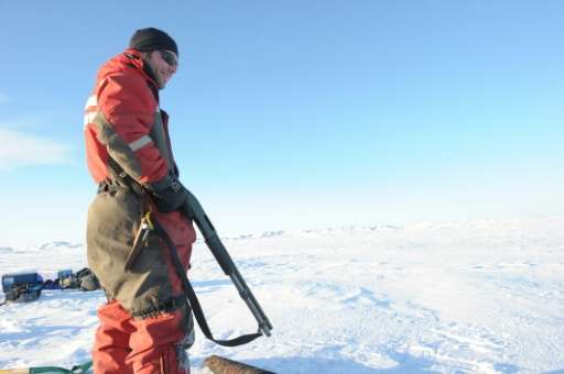A Canadian Coast Guard carries shotgun to protect scientists from polar bears in the Canadian High Arctic