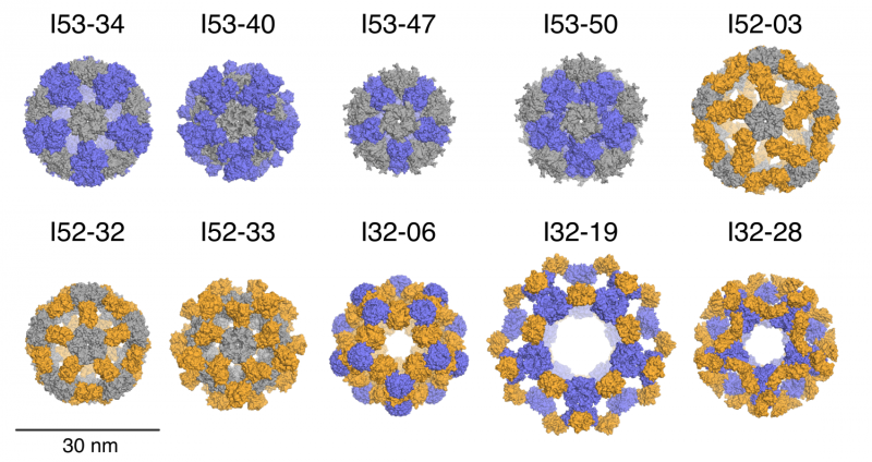 Accurate design of large icosahedral protein nanocages pushes bioengineering boundaries