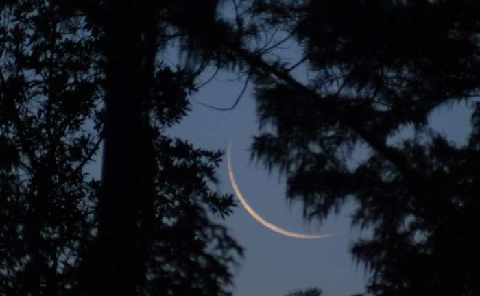 A challenging daytime occultation of venus for Europe