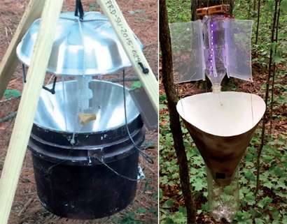 A cheaper, lighter moth trap may make citizen science projects more affordable