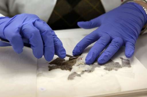 A conservator at the Dead Sea scrolls laboratory in Jerusalem works on fragments of a Dead Sea scroll on February 24, 2016