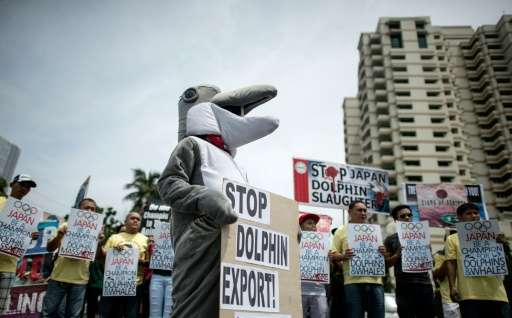 Activists from Earth Island Institute (EII) and the Philippine Animal Welfare Society (PWAS) hold a demonstration in front of th