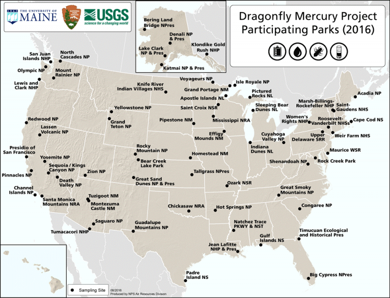 A day in the park–tracking mercury with dragonfly larvae