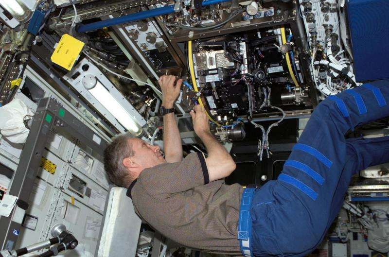 A decade of plant biology in space