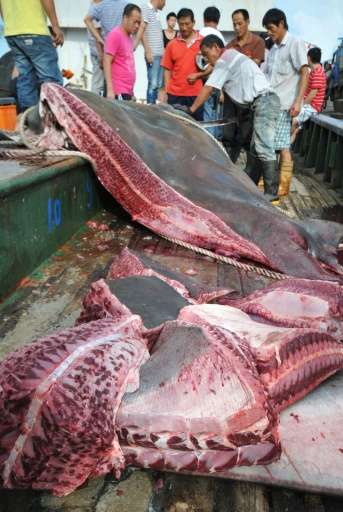 A giant manta ray, caught by a fishermen, is being cut up on a boat in Taizhou, in eastern China's Zhejiang province