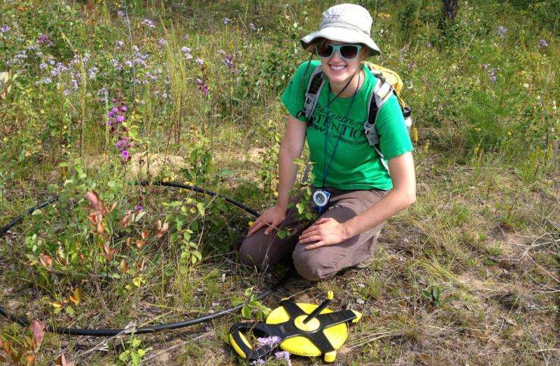 Alberta wildflower helps scientists plan for climate change