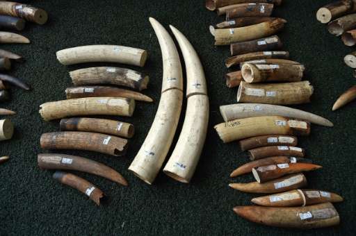 Although the ivory trade is banned in Vietnam, the country remains a top market for ivory products