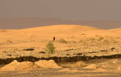A man walks on dunes on October 26, 2016 near Morocco's southeastern oasis town of Erfoud, north of Er-Rissani in the Sahara Des