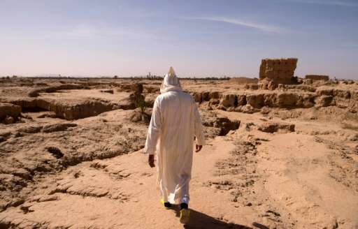 A man walks through a dried out area, that used to be part of the Tafilalet oasis, on October 27, 2016
