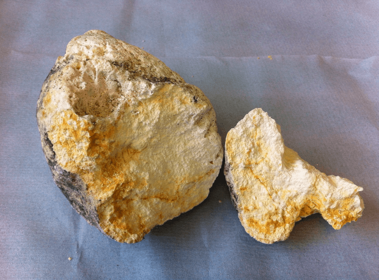 Ambergris—how to tell if you’ve struck gold with ‘whale vomit’ or stumbled upon sewage