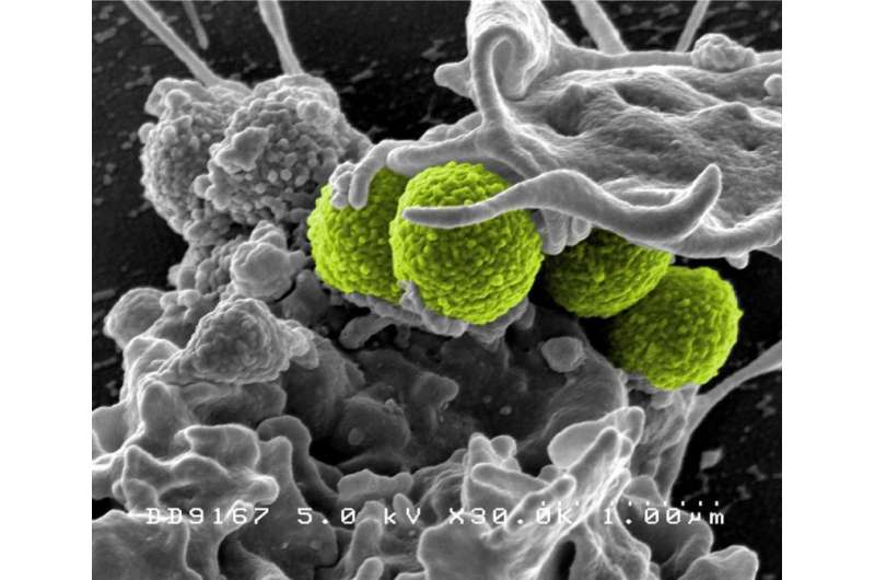 Analysis reveals promising approach in the battle against resistant bacteria