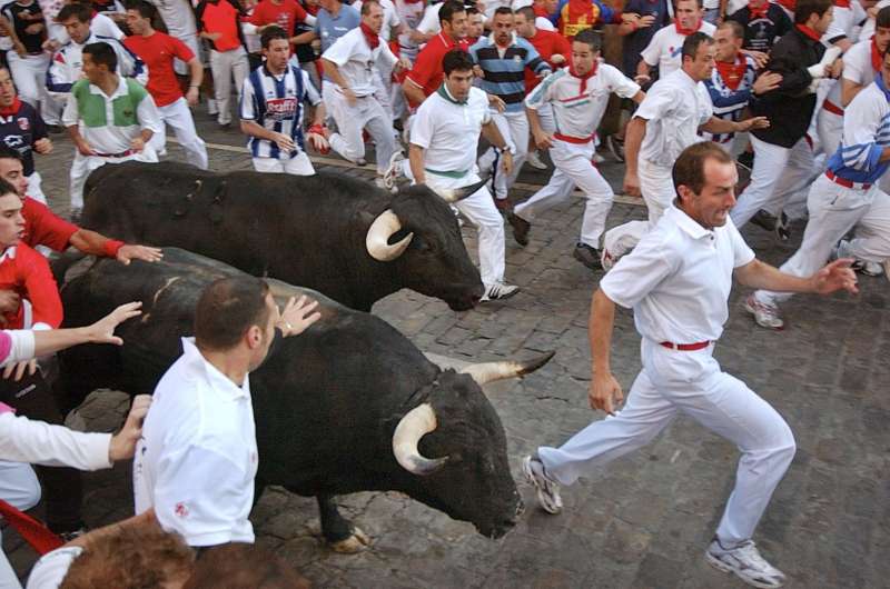 Analyzed the risk of the Pamplona bull run by means of a tool used in industry