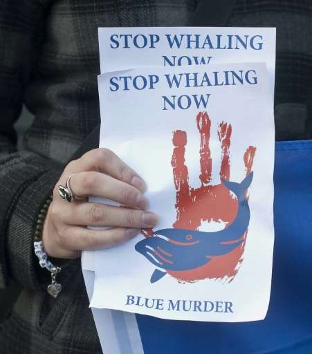 An anti-whaling protestor holds up a leaflet outside the Norwegian embassy in central London