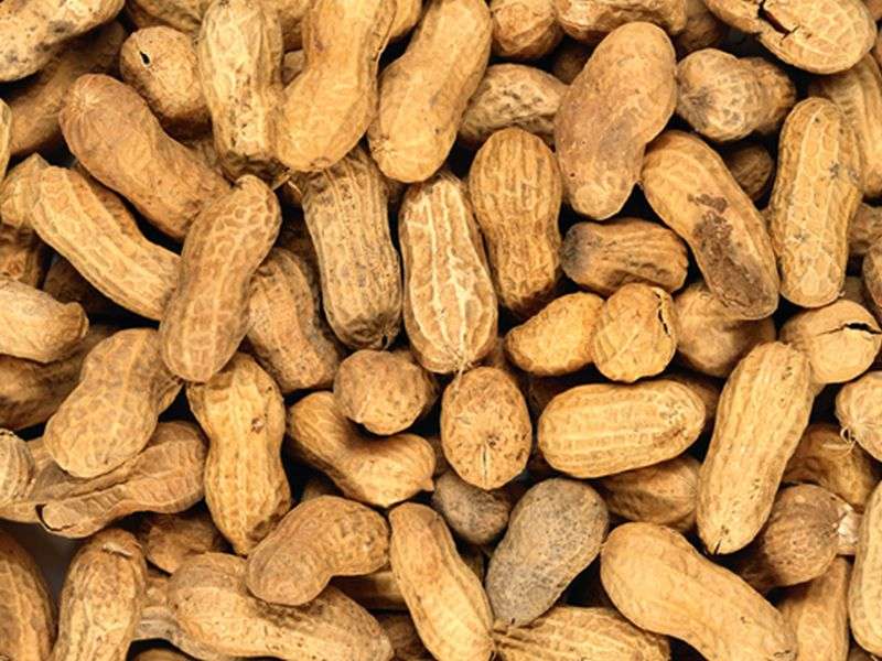 Anaphylaxis risk up for siblings of peanut allergic children