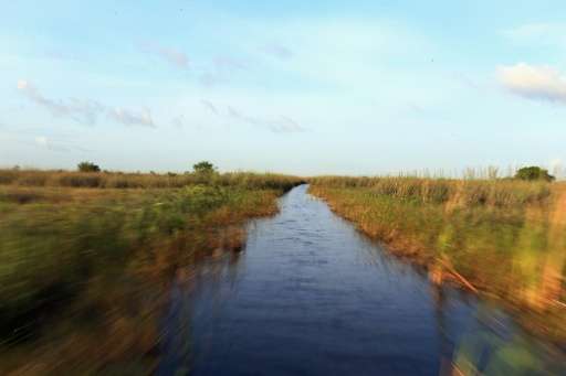 A National Wildlife Refuge in the Florida Everglades