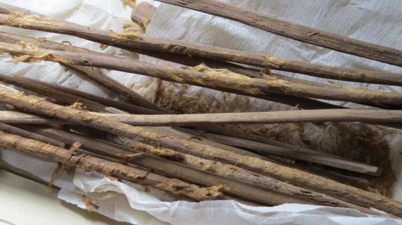 Ancient feces provides earliest evidence of infectious disease being carried on Silk Road