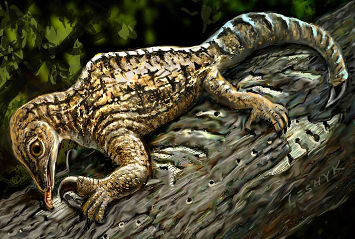 Ancient reptile fossils claw for more attention