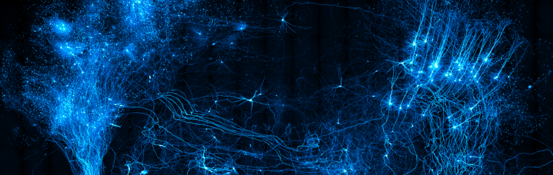 A new platform for brain-wide imaging and reconstruction of neurons