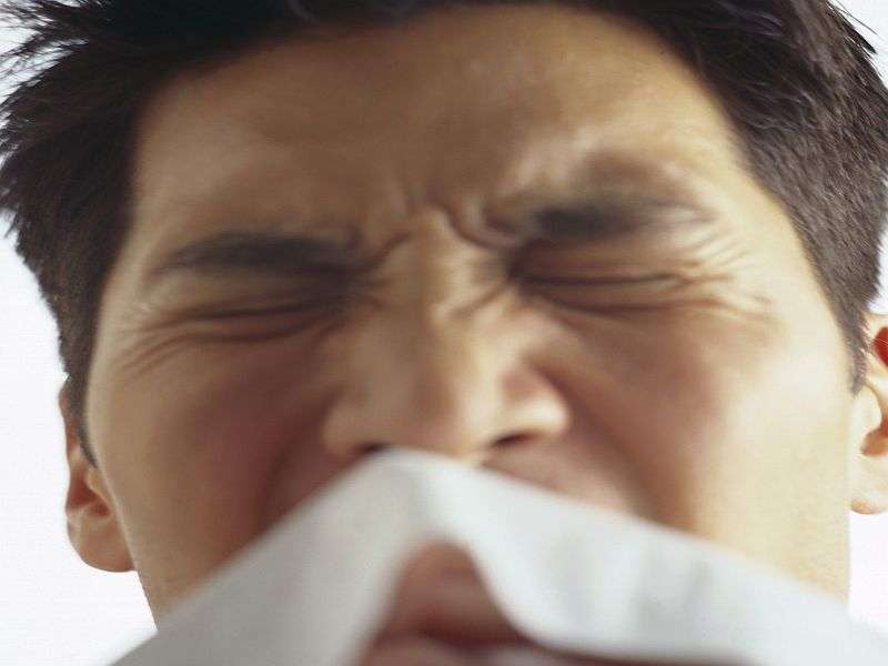 An expert's guide to sneezin' season