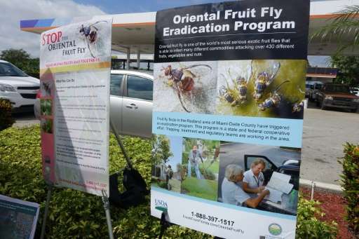 An information booth outside a gas station serves to educate the public about how to stop the Oriental fruit fly, on October 7, 