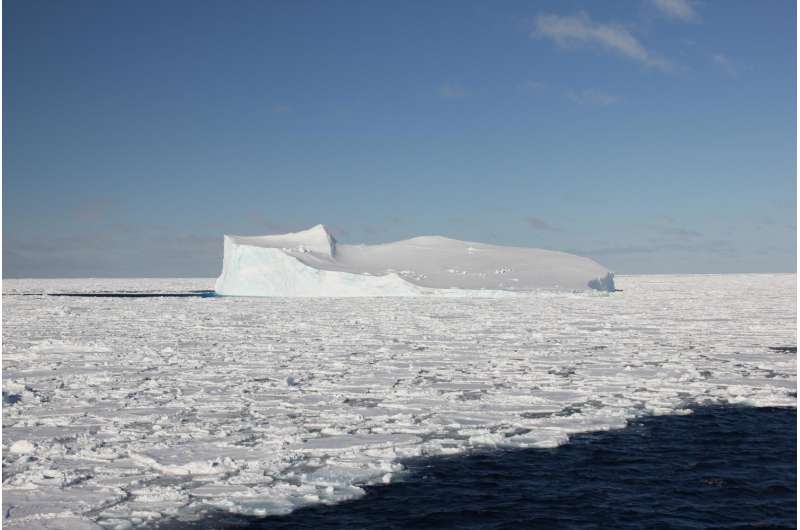 Antarctic sea ice may be a source of mercury in southern ocean fish and ...