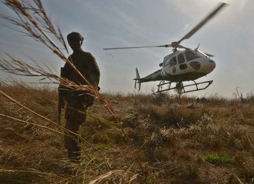A park ranger stands in elephant grass during an anti-poaching operation in Garamba National Park in north-eastern Democratic Re