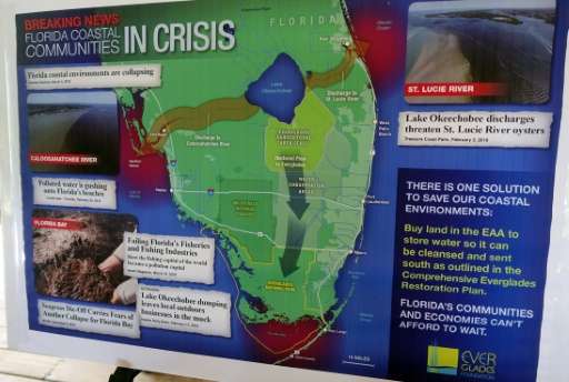 A poster by the Everglades Foundation shows the stages of seagrass die-off in the Florida Keys