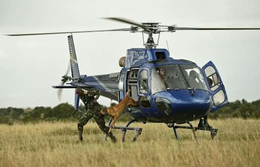 A rapid response team of armed rangers in the Ol Pejeta private reserve travel by helicopter to track down poachers