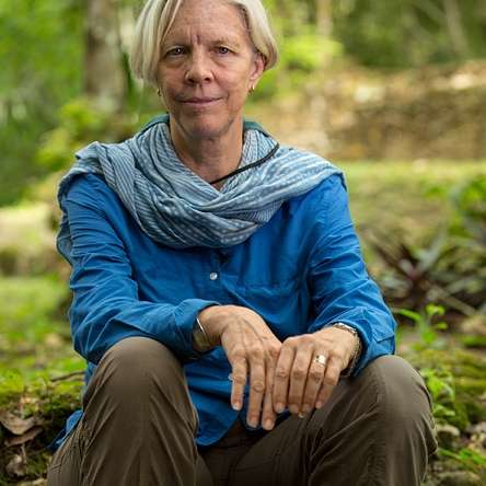 Archaeology under the canopy